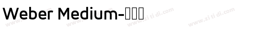 Weber Medium字体转换